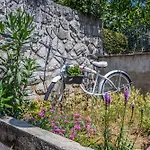 Alexis * Crikvenica