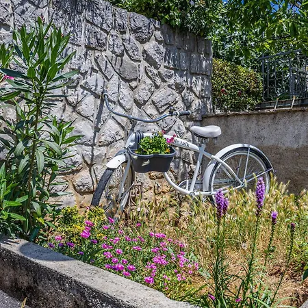 Alexis * Crikvenica