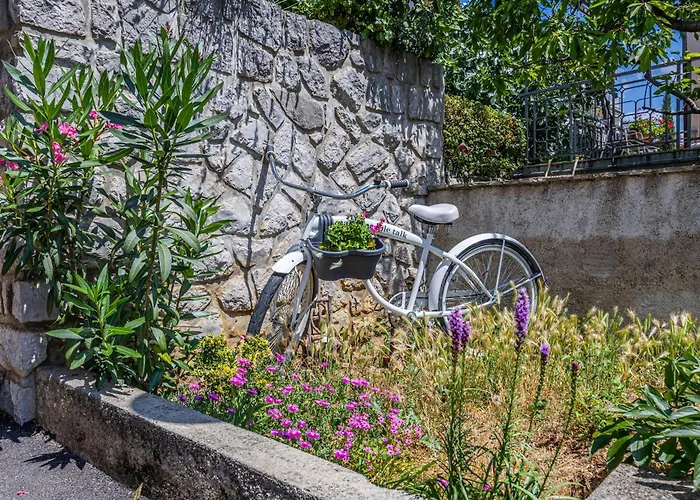 Alexis * Crikvenica